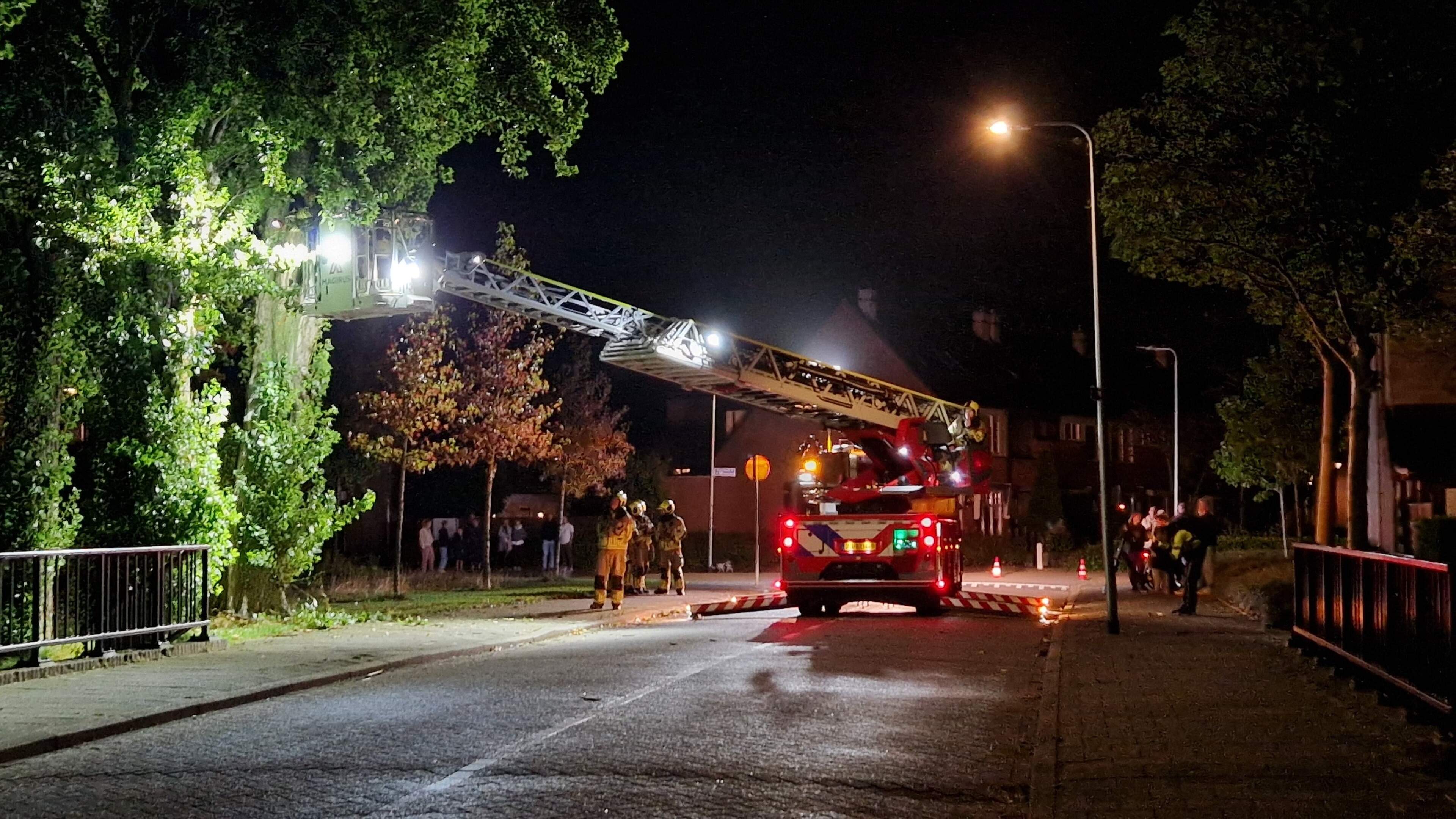 Bliksem slaat in bij woning en boom in Rijnsburg