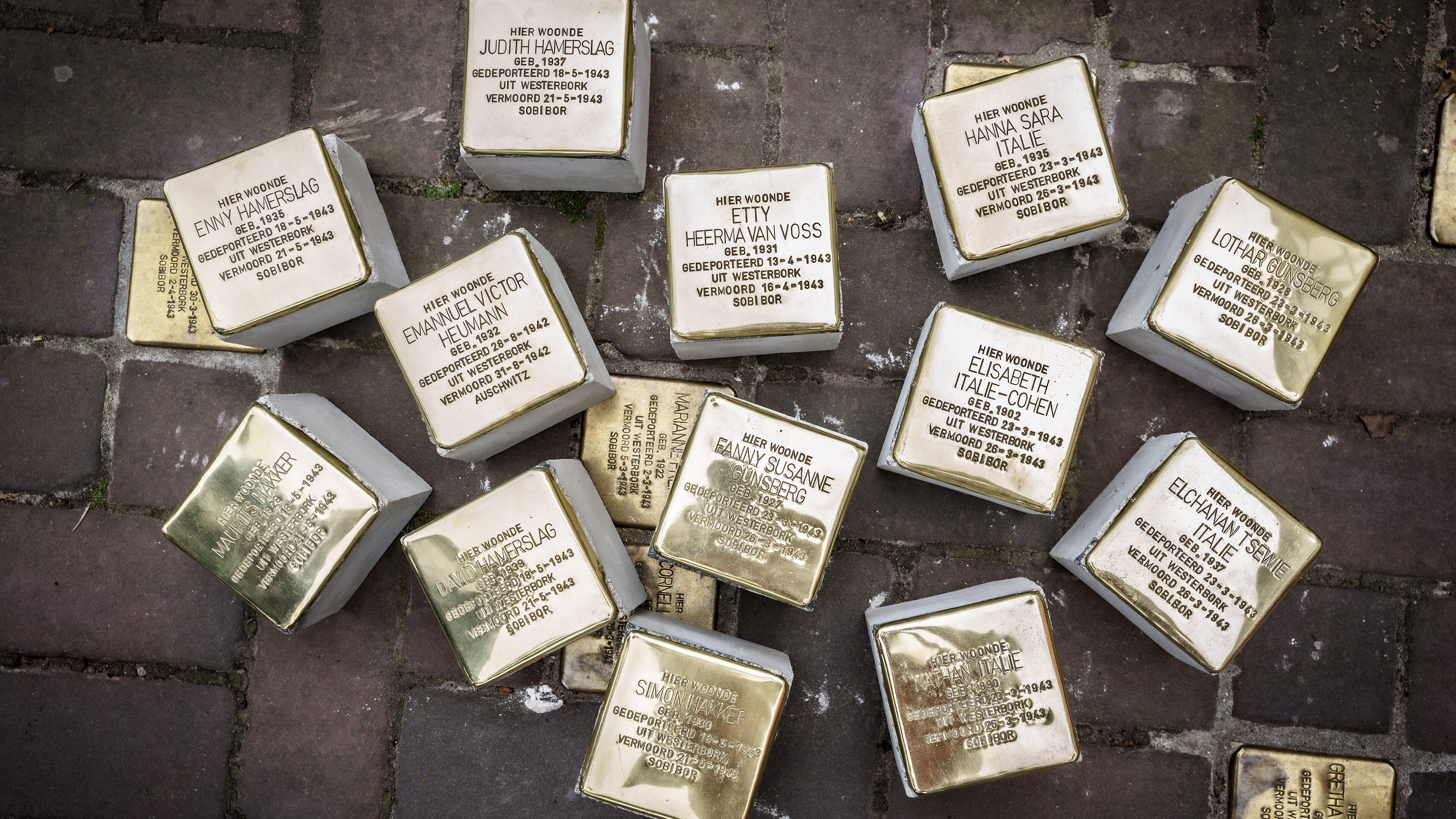 Canadian interest in Stolpersteine unveiling in Driehuis; relatives of Velsen victims attend