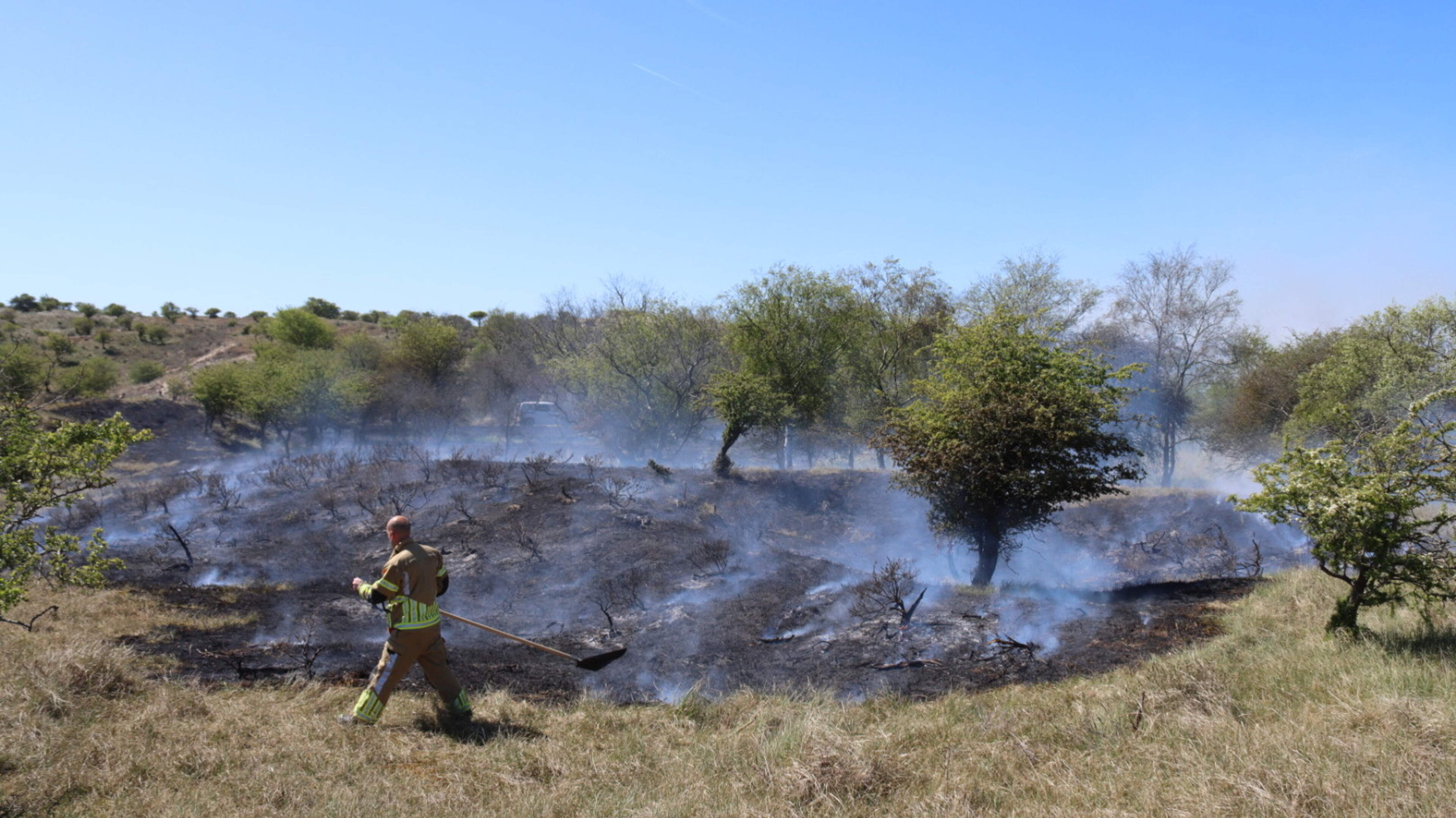 Fire after fire: what will be left of nature? ‘We have long been urging to retain more rainwater’