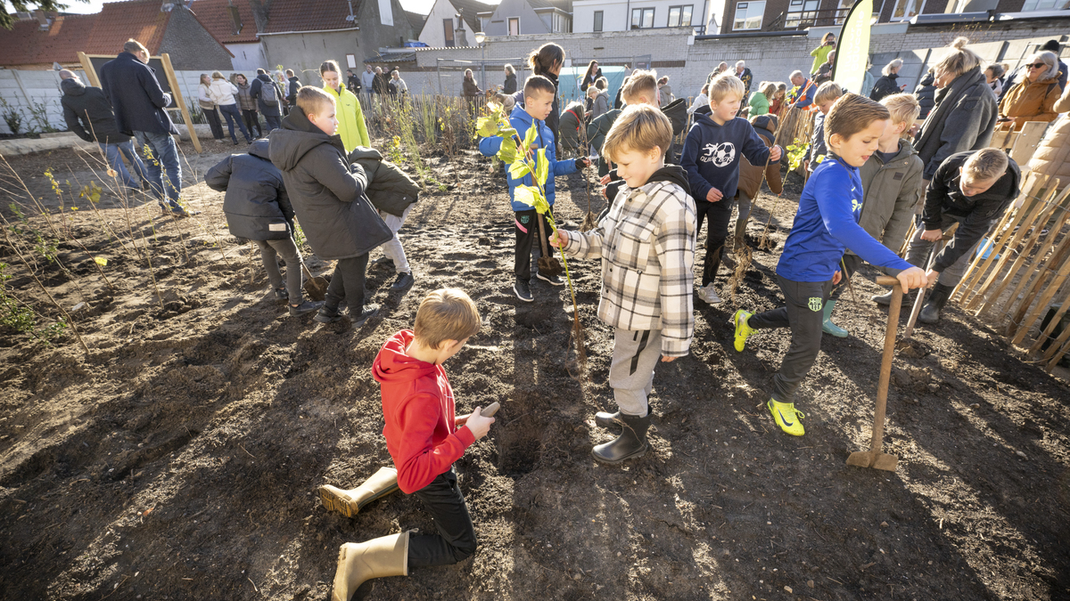Katwijkse leerlingen voorzien versteende Rijnmond van klein buurtbos