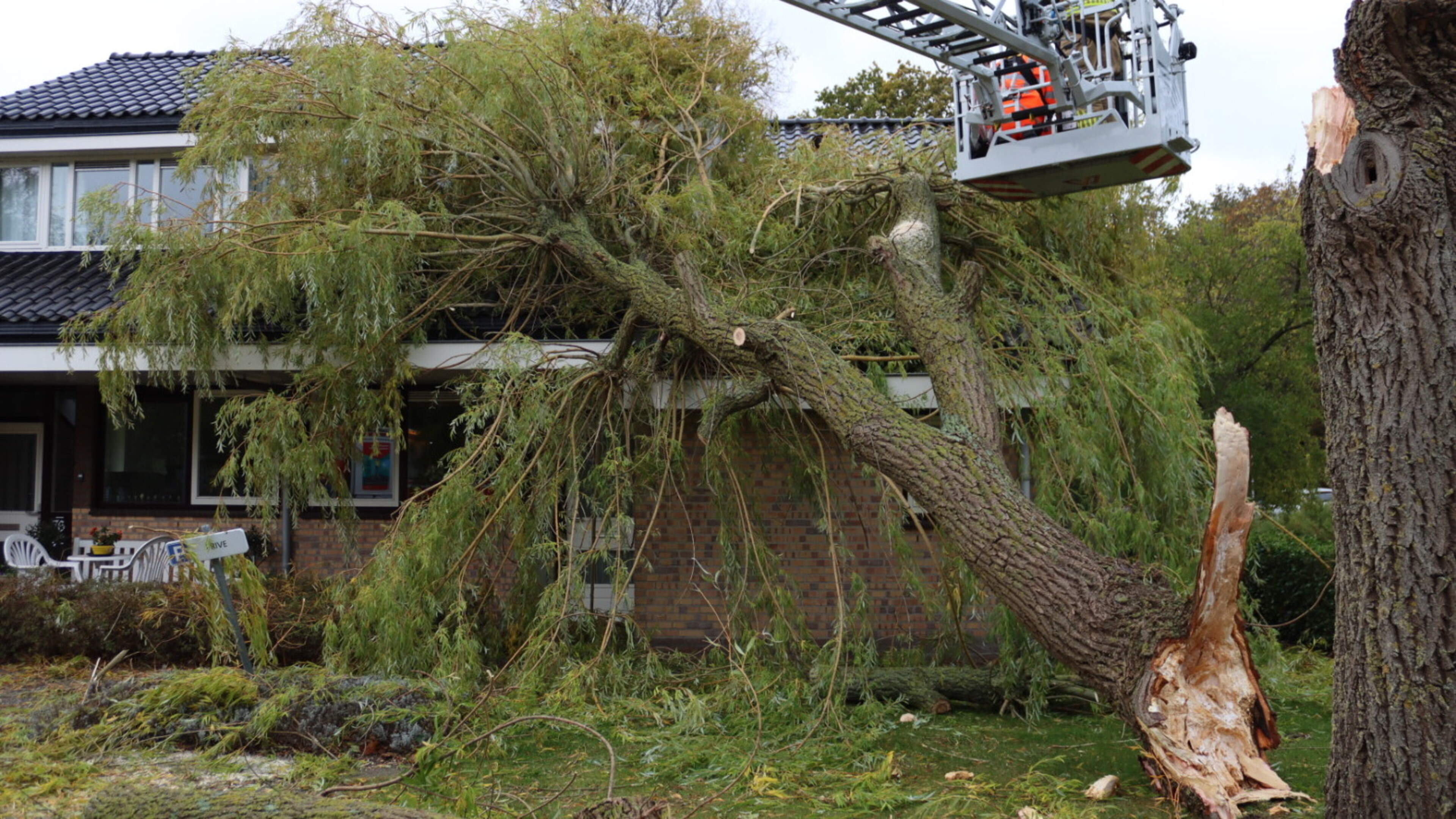 Boom valt op woning in Voorhout