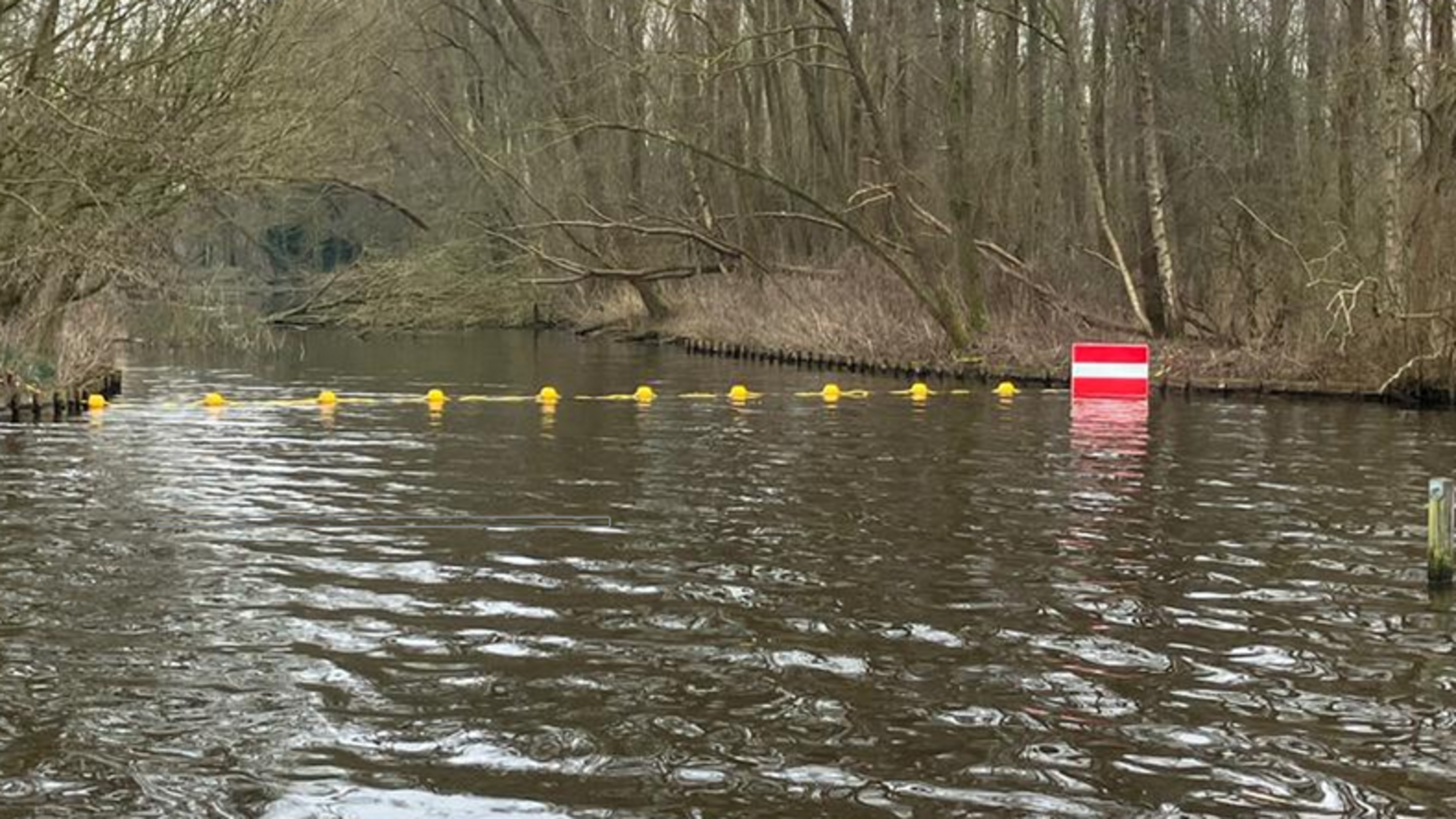 Motorbootjes geweerd van het Koudenhoornse water. ’Rust in gebied herstellen en natuur beschermen’