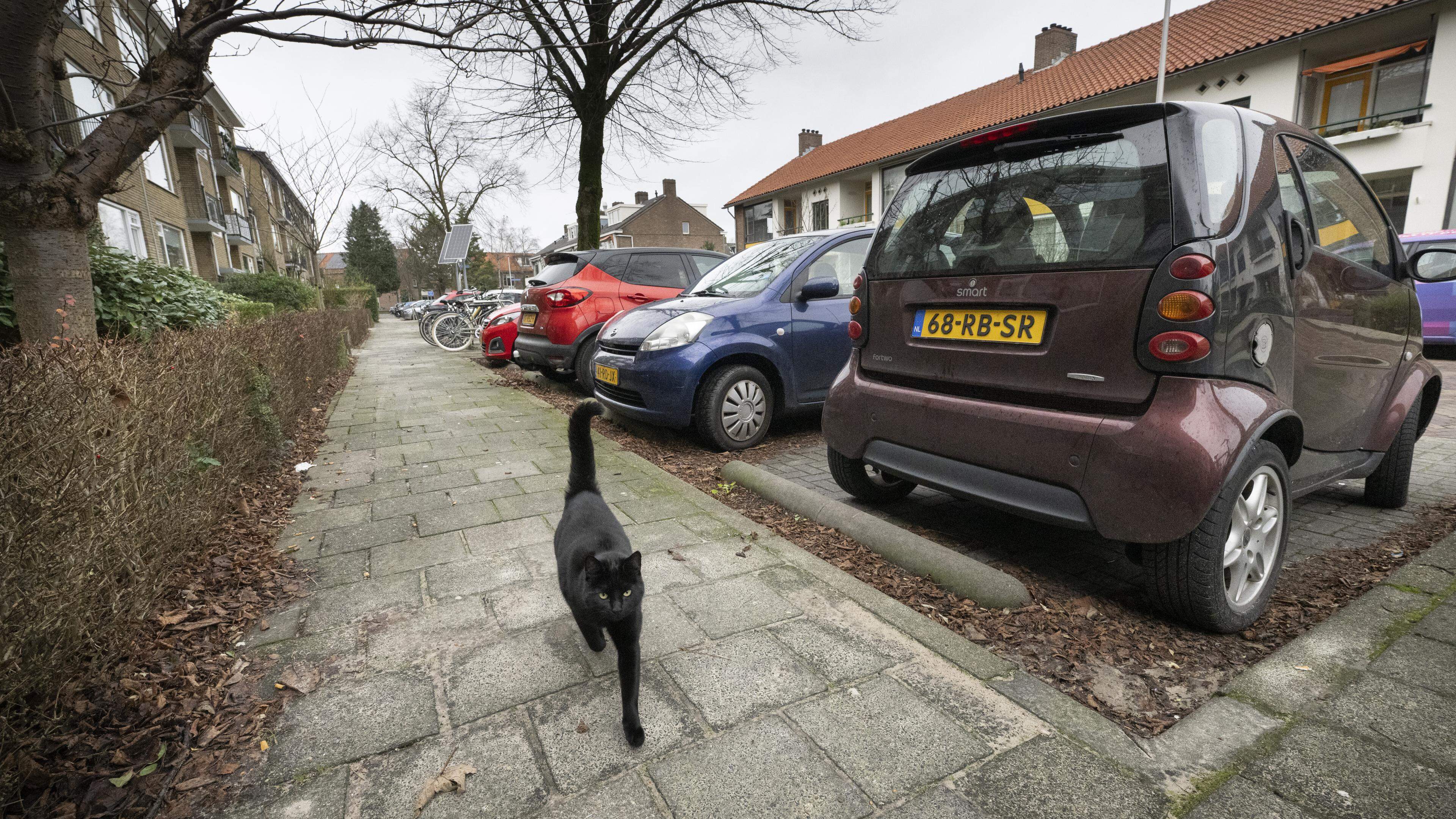 Betaald parkeren Leiderdorp begint in 2026, maar bewoners vinden 100 euro per jaar te duur